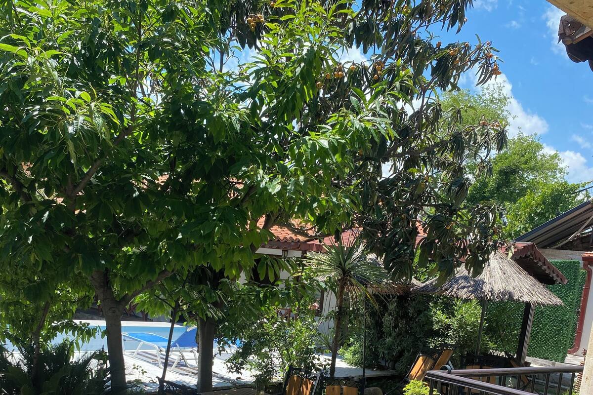 Un patio con suelo de piedra, mobiliario de madera y vista al mar.