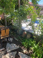 室外用餐