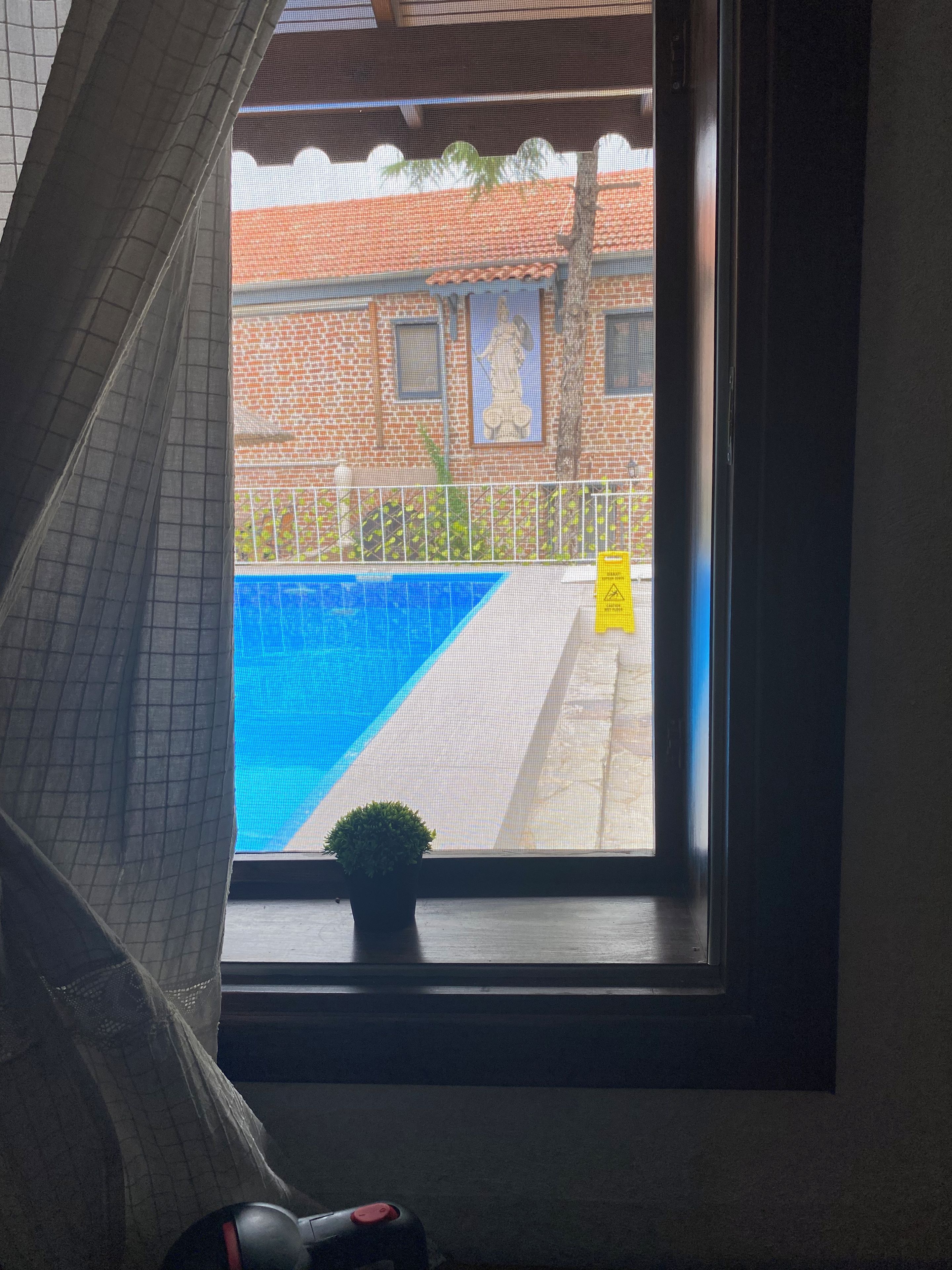 A window with a view of a brick building, a blue pool, and a small potted plant on the windowsill.