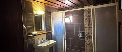 Casa de banho com chuveiro, sanita, lavatório e espelho.