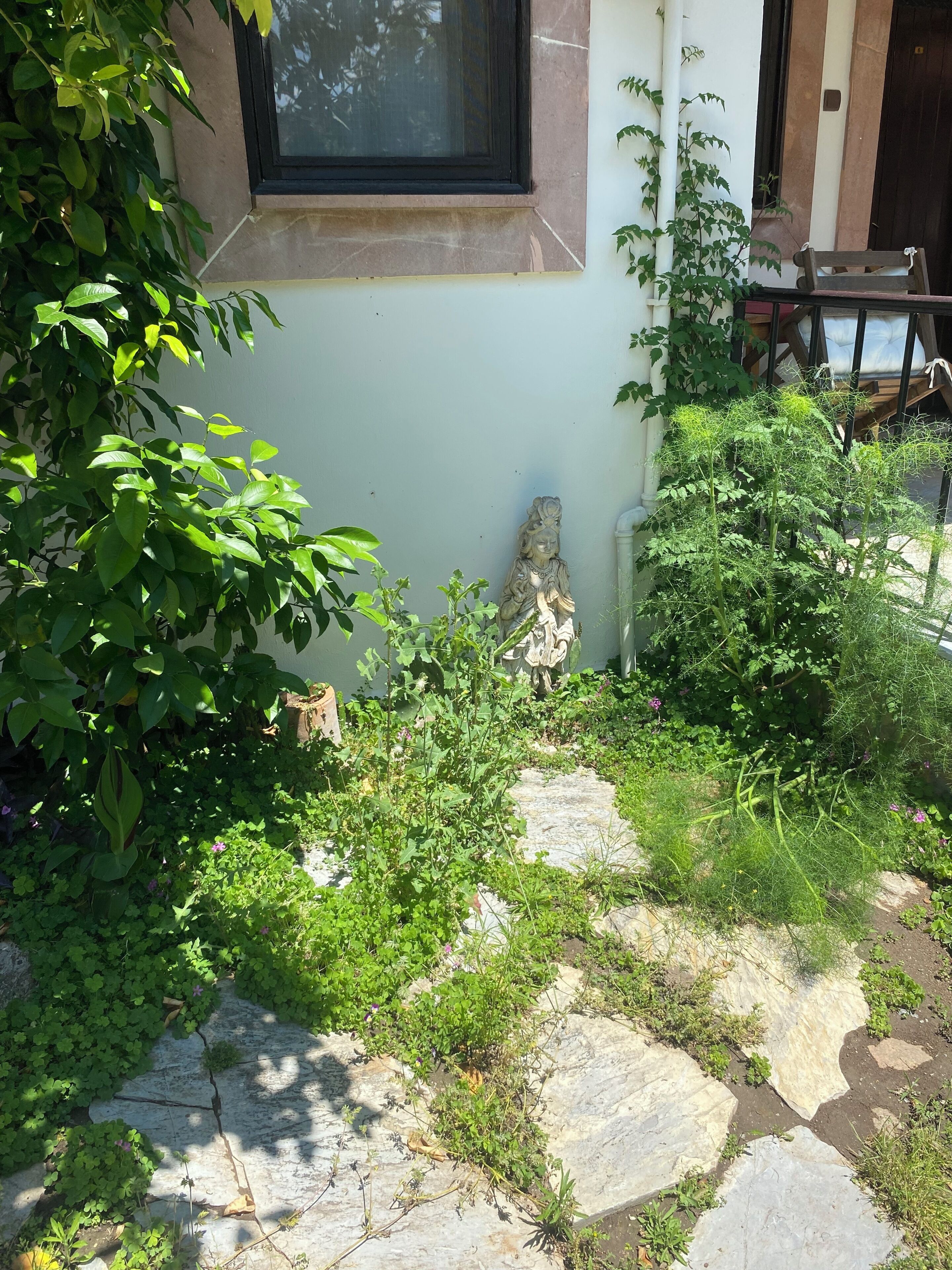 Un camino de piedra que lleva a un edificio con una ventana y una estatua.
