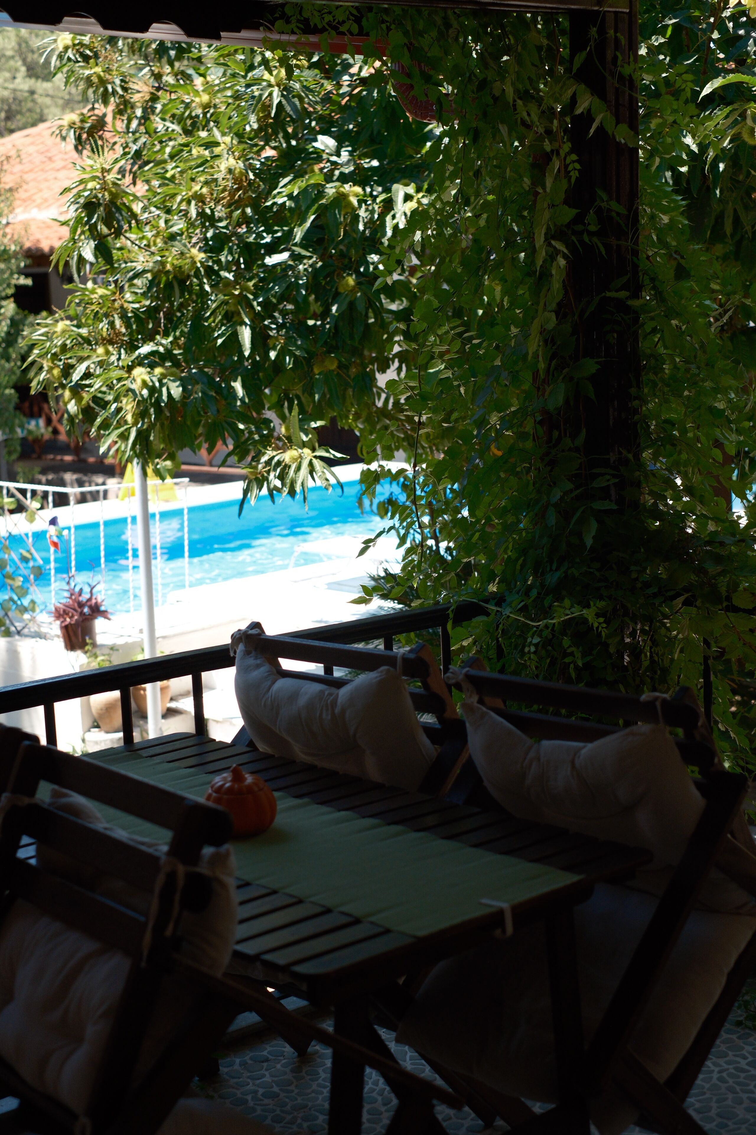 A poolside area with a wooden deck, lounge chairs, and a view of a swimming pool.