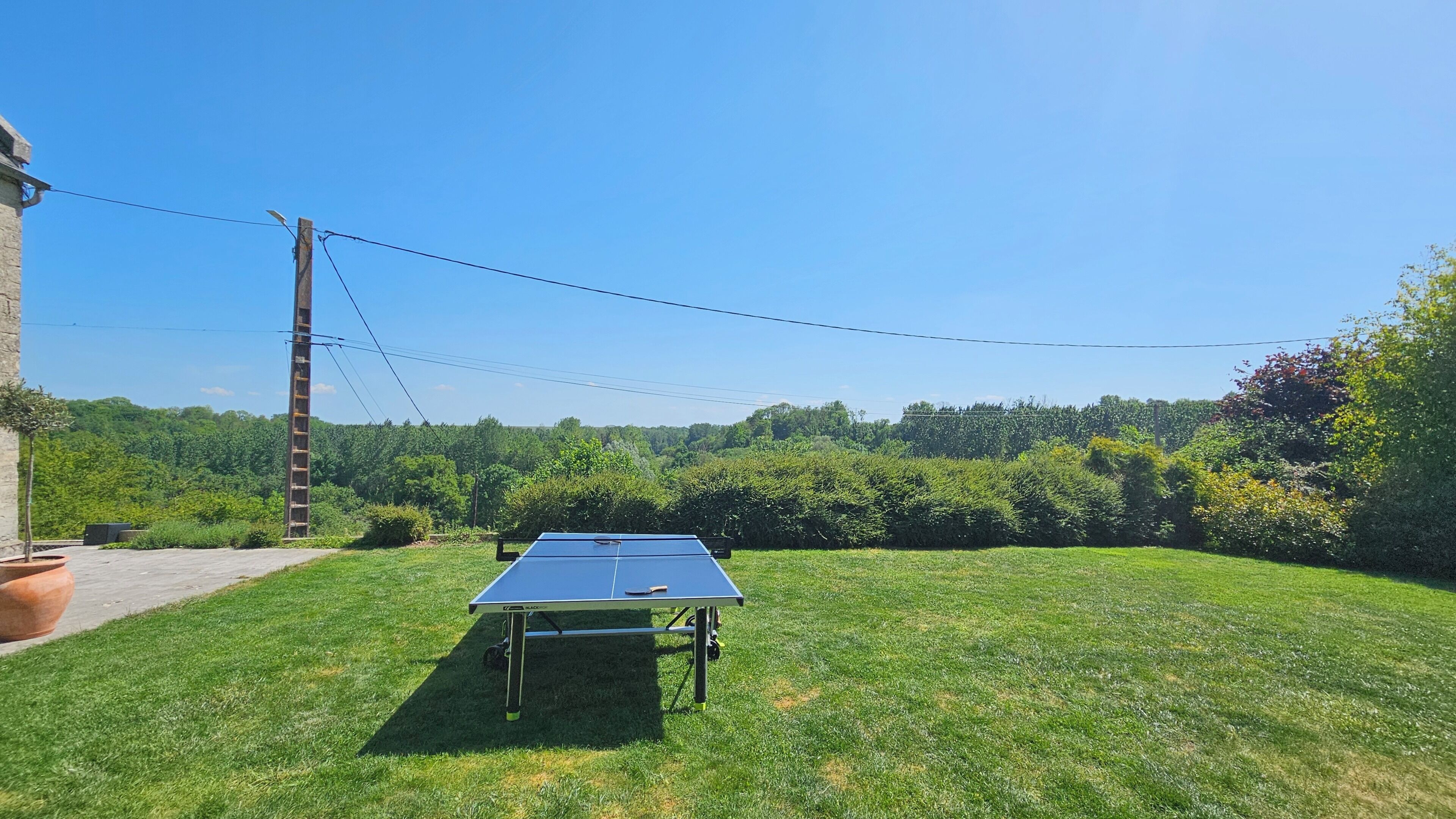 A ping pong table in a grassy outdoor area with a clear sky and trees in the background.