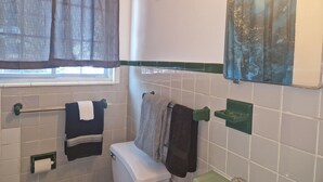A bathroom with a toilet, a towel rack, a window with a curtain, a mirror, and a green soap dish. - Nice renovated 1 bedroom Apartment Sunny Days Motel 3 (St. Petersburg)