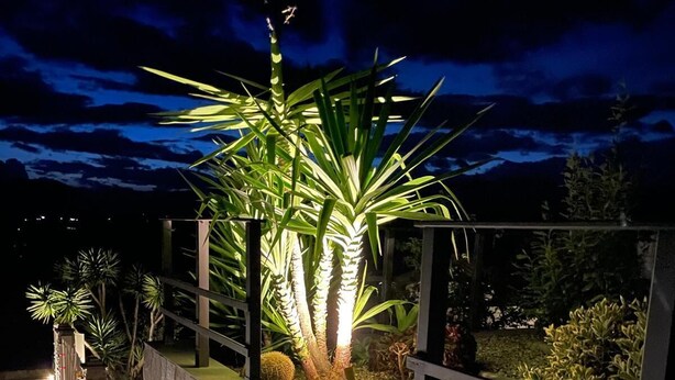 Un espace extérieur aménagé pour la nuit, avec un chemin en pierre, des palmiers et une rambarde.