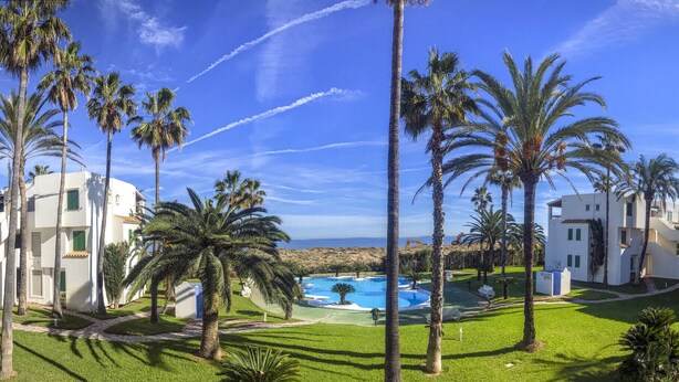 Un complexe hôtelier doté d’une piscine, de palmiers et offrant une vue sur l’océan.