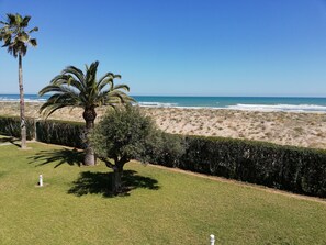 A coastal landscape with a beach, palm trees, and a hedge. - Deltamar 81, Solo Familias! (Playa Xeraco)