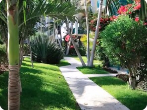 Property grounds - Spacious luxury suite in exclusive gated community steps from Grace Bay Beach. (Turtle Cove)