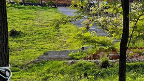 Una hamaca atada a un árbol, una terraza de madera y un edificio con balcón.