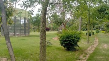 Property grounds