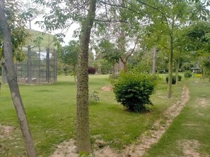Property grounds