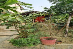 Property grounds - Mithila Villa Home Stay Located in Phulparas, Bihar District- Madhubani, India (Barhi)