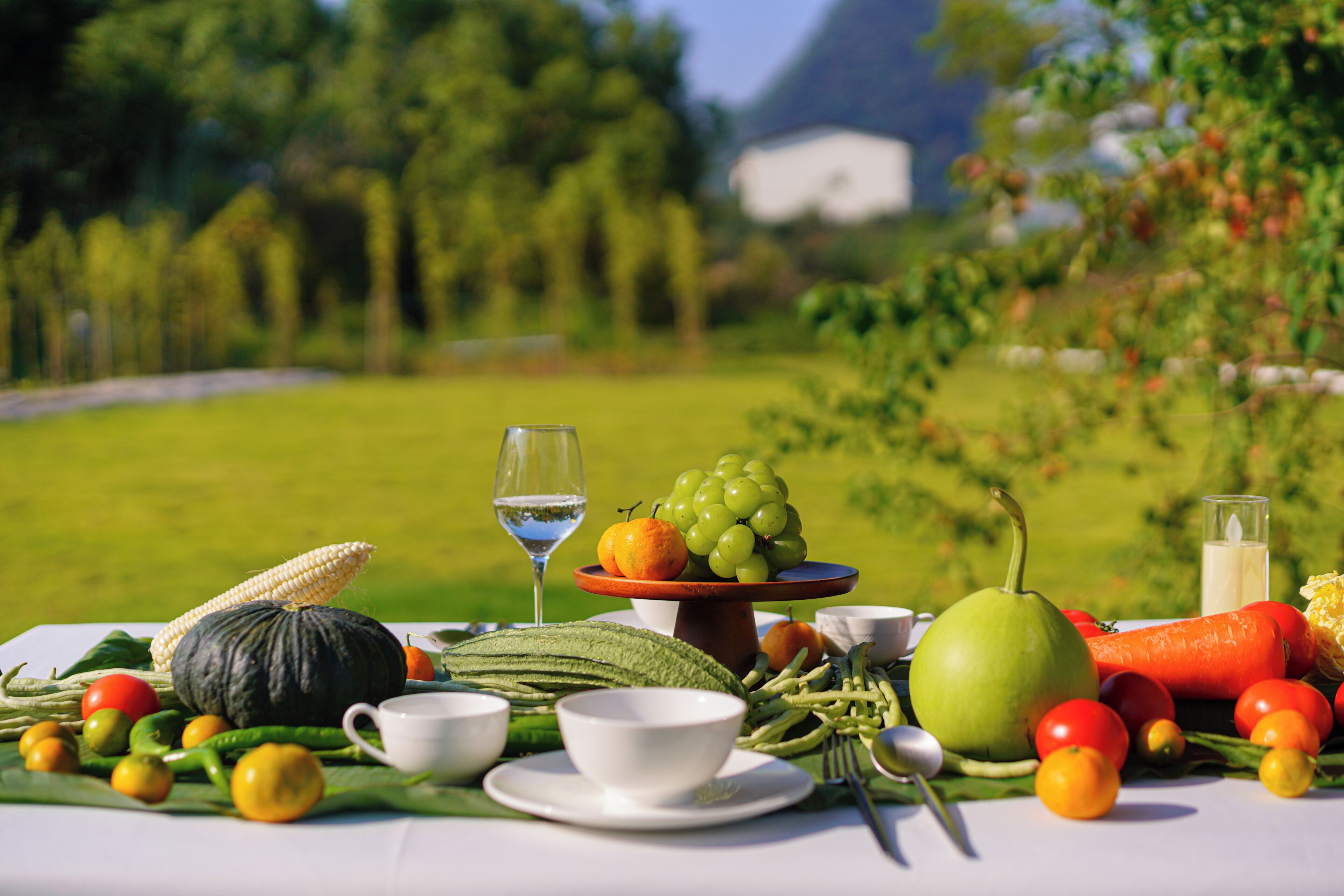 A table set with various fruits, vegetables, and a glass of water, with a scenic outdoor background.