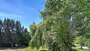 A dirt path with a wooden fence, surrounded by dense trees and a clear sky. - Large 40 M2 studio ideal for curists at the Eugénie les Bains thermal baths (Bahus-Soubiran)