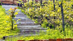 Eine Holztreppe führt zu einem Gebäude mit einem Balkon, umgeben von Grünpflanzen und einer Backsteinmauer.