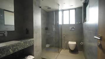 Shower, free toiletries, hair dryer, slippers