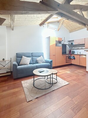 Living area - Large studio of more than 35 M2 ideal for curistes spa Eugénie les Bains (Bahus-Soubiran)
