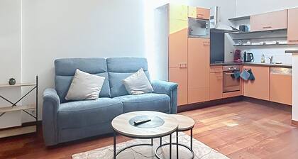 grand studio de plus de 35 M2 idéal curistes thermes d'Eugénie les Bains