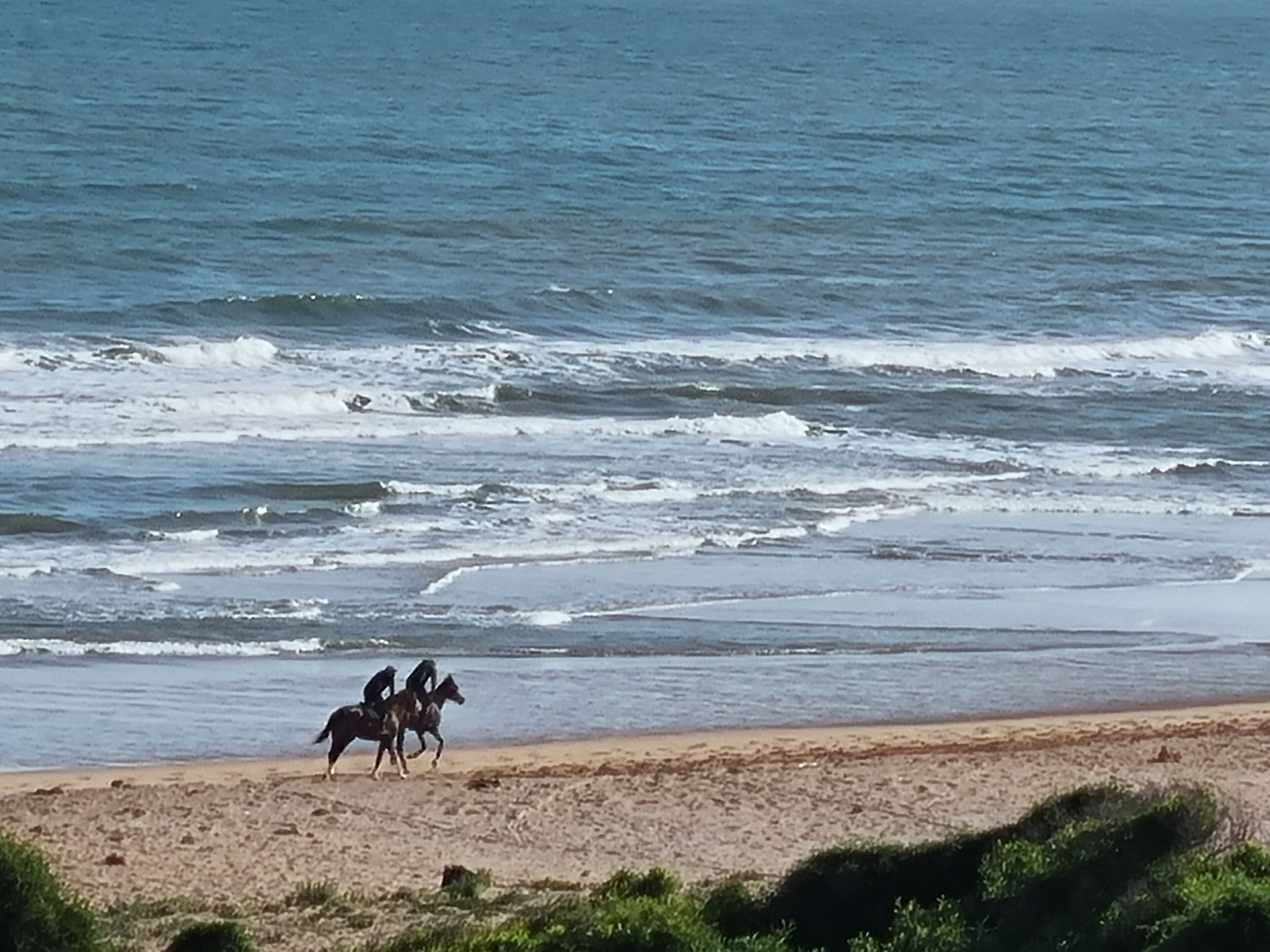 Una platja amb cavalls i jockeys, un tram de sorra i l'oceà.