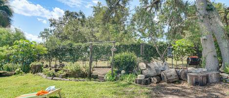 A natural outdoor setting with a wooden bench, logs, and trees.
