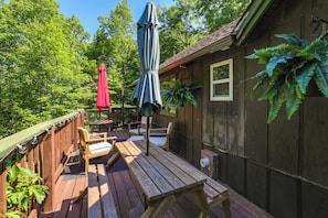 Apartment (1 Bedroom) | Interior - Tranquil Mtn Guest Suite Outside Morganton (Connellys Springs)