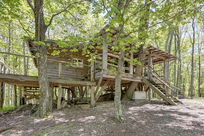 Mountain Tree House w/ Views in Maysville