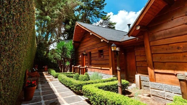 A wooden cabin with a stone pathway leading to the entrance, surrounded by greenery and trees. - Pousada Recanto dos Sonhos (Campos do Jordão)