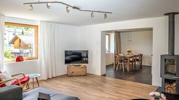 Fernseher, Kamin