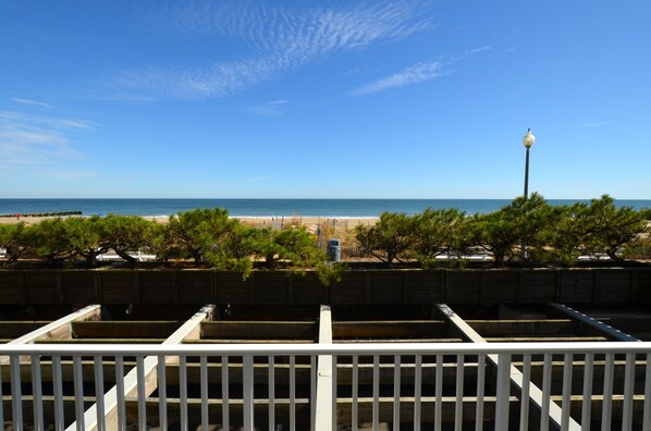 Blick auf einen Strand mit blauem Himmel, einer Straßenlaterne und einem Zaun mit Bäumen im Vordergrund.