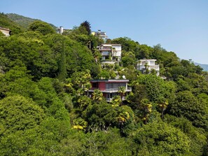 Eine Wohngegend an einem Hügel mit modernen Häusern, üppiger Bepflanzung und blauem Himmel.