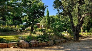 Un jardín con una palmera, un muro de piedra y un sendero que conduce a un edificio.