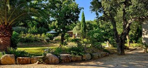 A garden with a palm tree, a stone wall, and a pathway leading to a building. - SUPERB MEDITERRANEAN VILLA 12 Pers SEA VIEW & ST TROPEZ, close to BEACHES & GOLF (Grimaud)