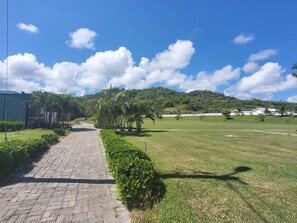 A paved pathway leading through a grassy area with trees and a hill in the background.