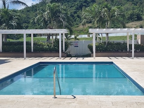 A rectangular swimming pool with a metal ladder, surrounded by a white pergola, palm trees, and a sign warning of no diving.