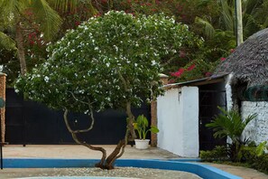 Un arbre aux fleurs blanches, une piscine et une construction à toit de chaume.