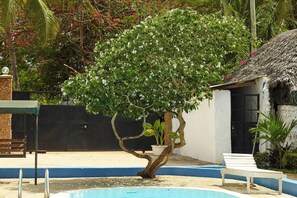 Un arbre aux fleurs blanches, une piscine et un bâtiment blanc avec une porte noire.
