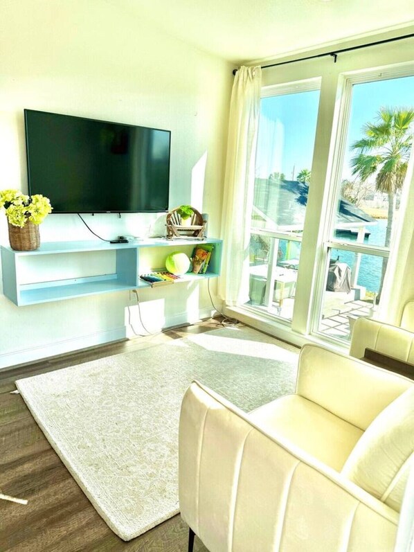 TV