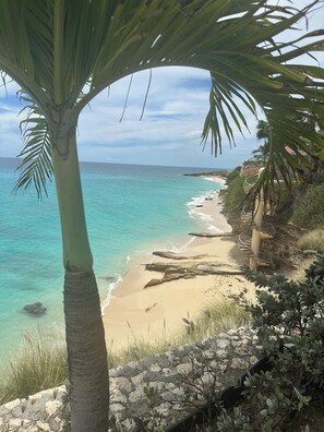 Een strand met helder turquoise water, een zandstrand en een palmboom.