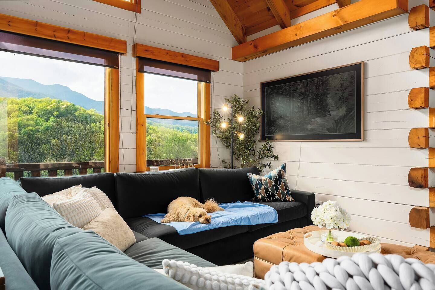 Smart TV, fireplace, books, stereo
