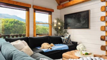 Smart TV, fireplace, books, stereo