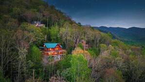 Une cabane dotée d’un toit végétalisé, entourée d’une forêt dense, avec une chaîne de montagnes en arrière-plan.