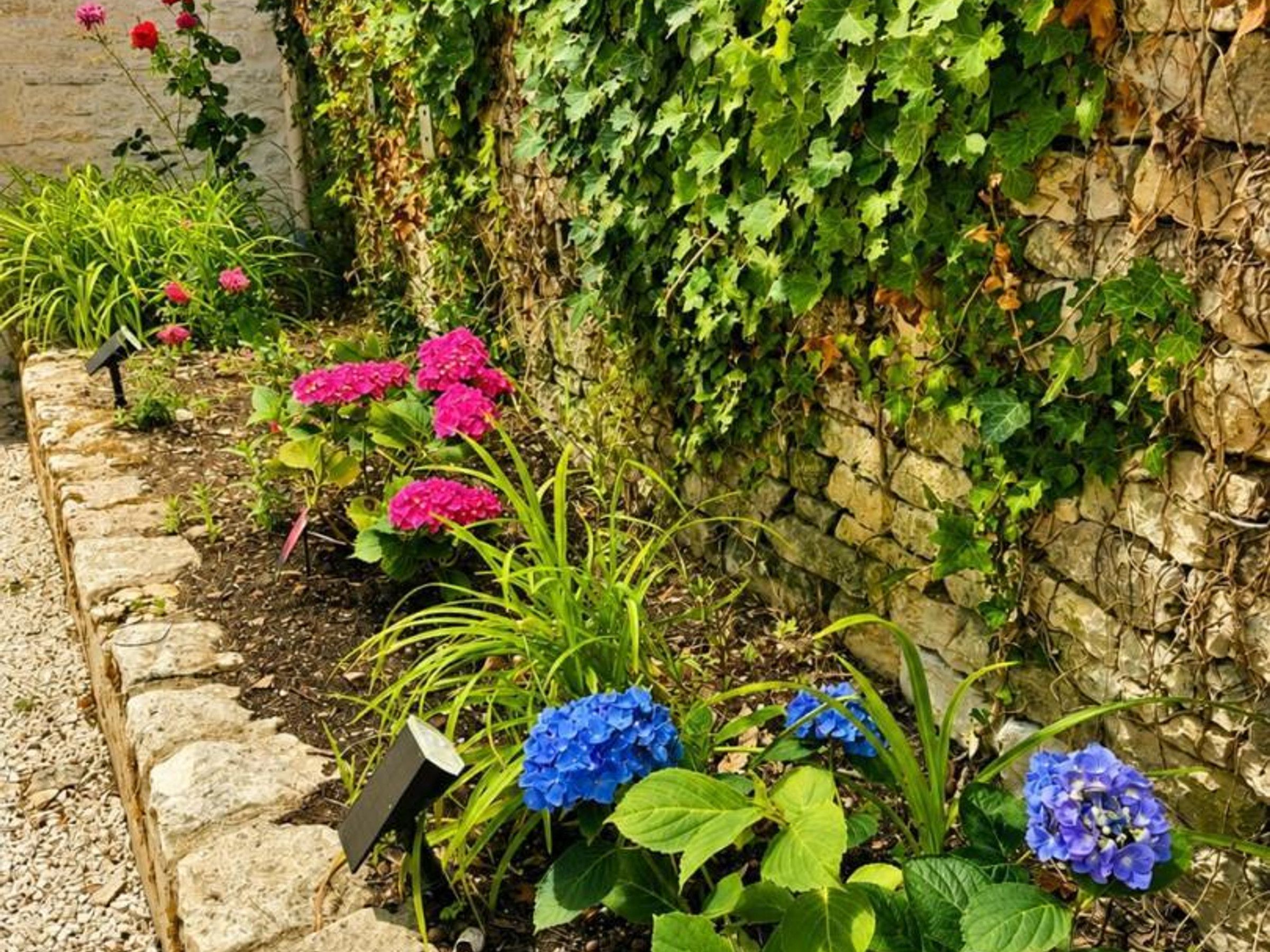 A garden with a stone wall, various plants, and flowers.
