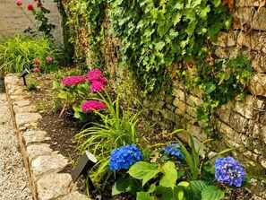 Ein Garten mit Steinmauer, verschiedenen Pflanzen und Blumen.