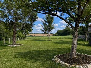 A grassy field with trees and a stone wall. - House with private pool, pets allowed - 6 guests (Courcôme)