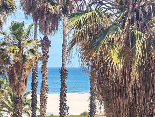 Ein Strand mit Palmen und freiem Blick auf den Ozean.