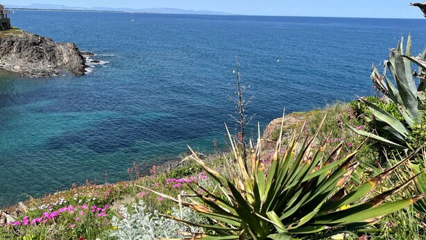 A coastal landscape with a clear view of the sea, rocky cliffs, and vegetation. - T2 Apartment, sea view, parking - 4 guests (Port-Vendres)