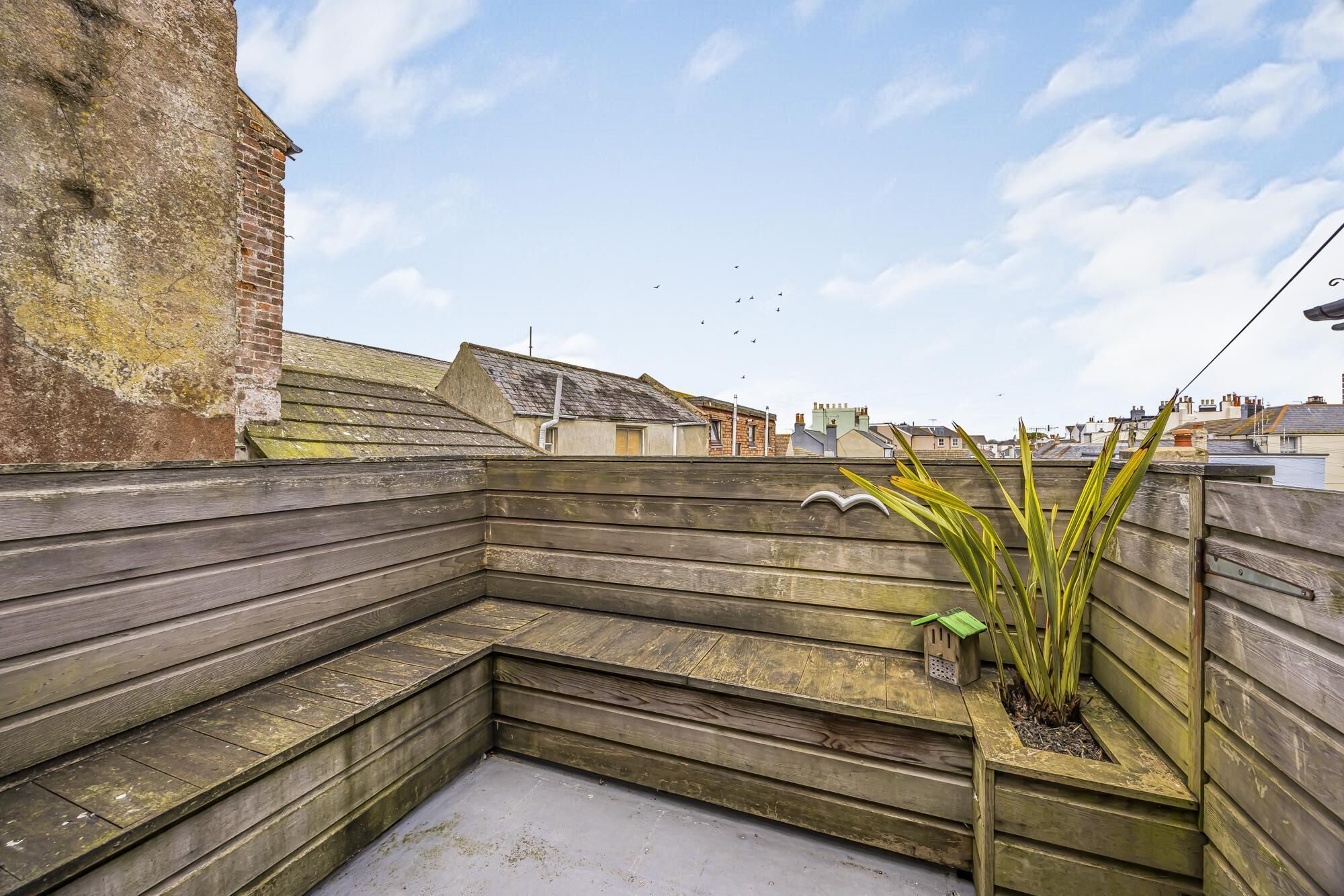 Une terrasse sur le toit avec un banc en bois, une petite plante et une mangeoire à oiseaux.