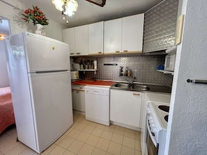 Eine kompakte Küche mit weißen Schränken, einem Kühlschrank, einem Geschirrspüler und einer Spüle.