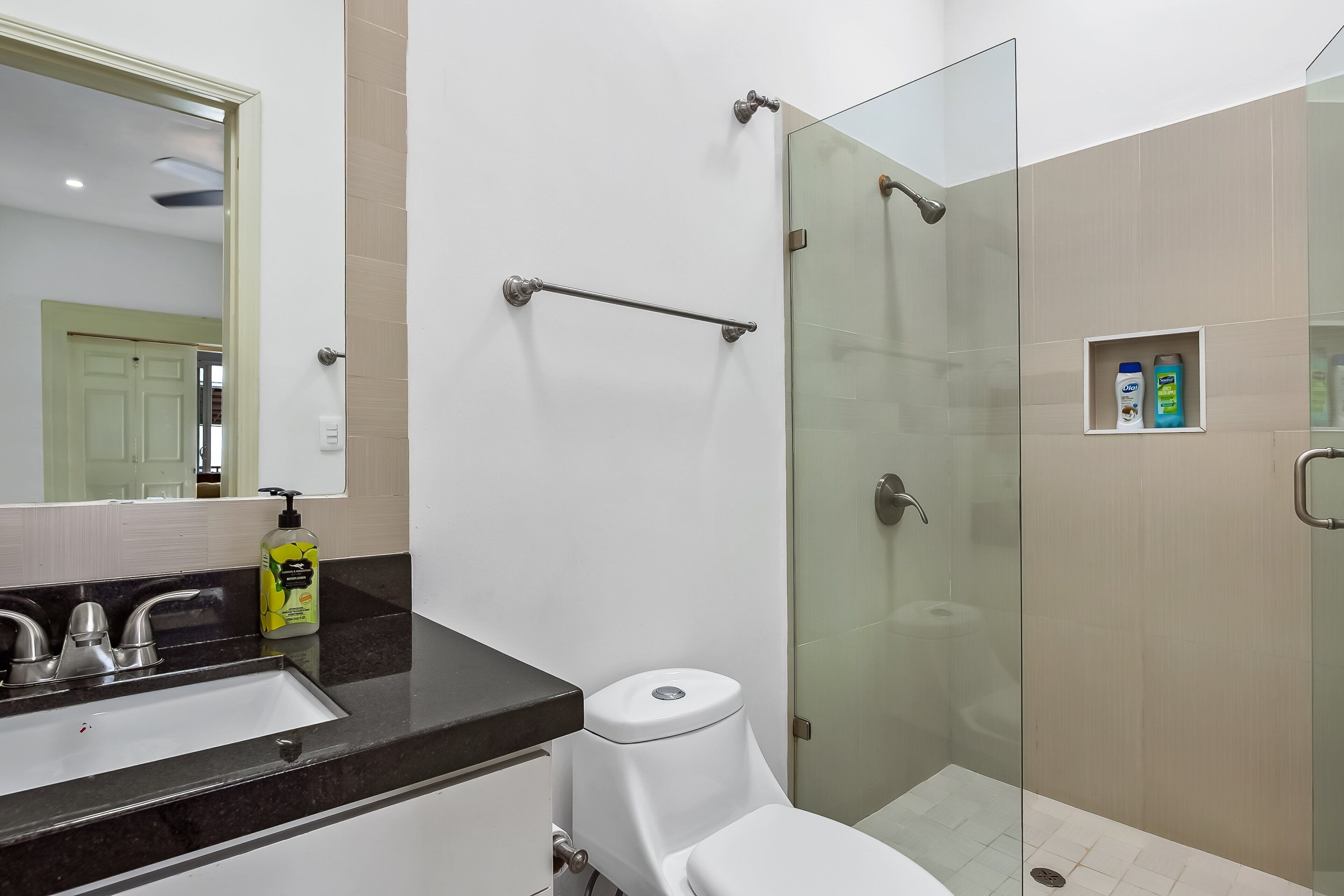 A modern bathroom with a glass shower enclosure, a white toilet, a black countertop sink, and a mirror.