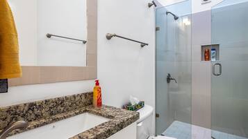 Un bagno con piano in granito, un water bianco, cabina doccia in vetro e portasci.